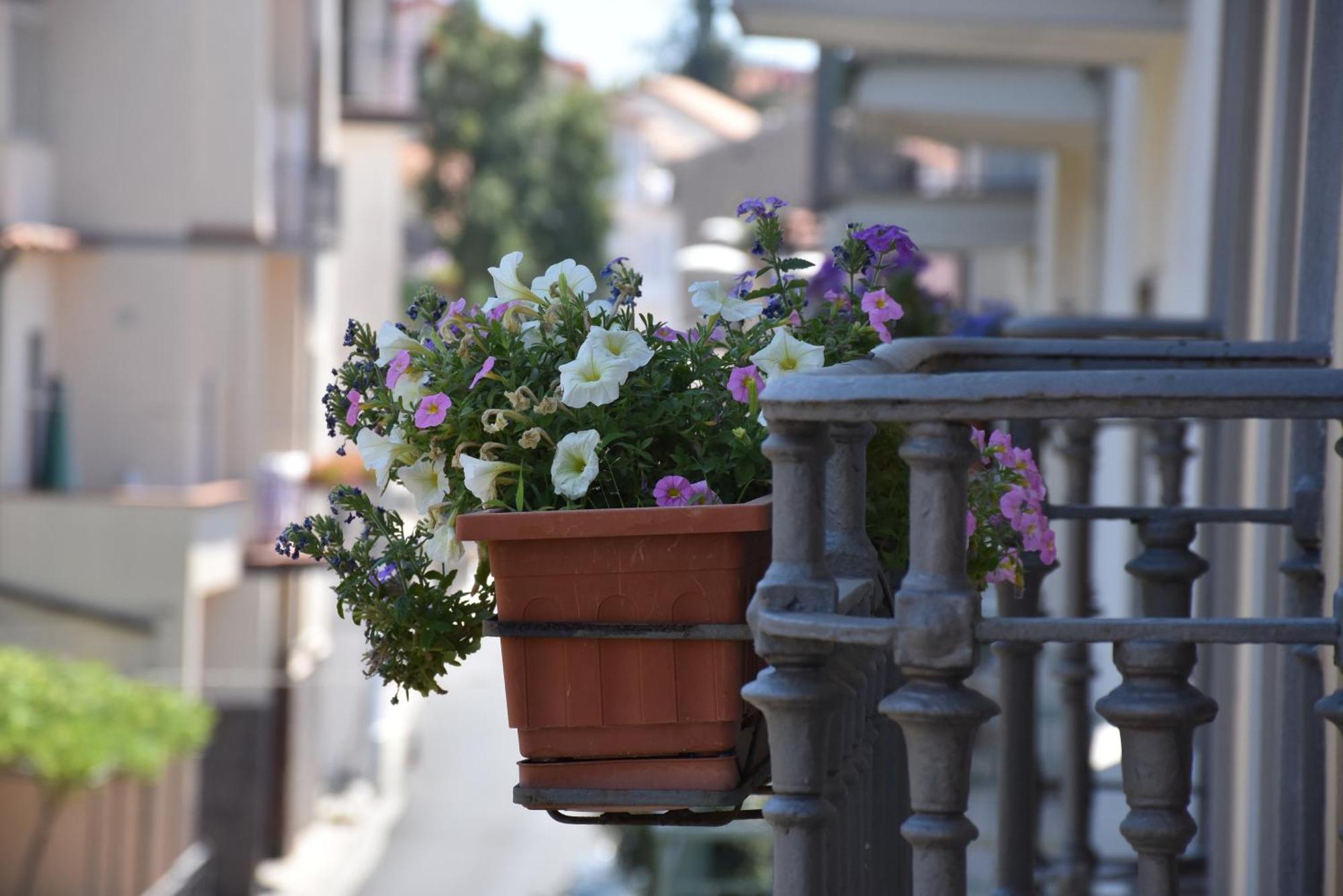 Hotel Risorgimento Agerola Bagian luar foto